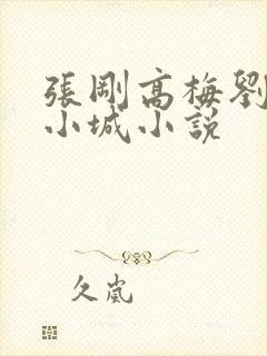 张刚高梅刘阿姨小城小说封面