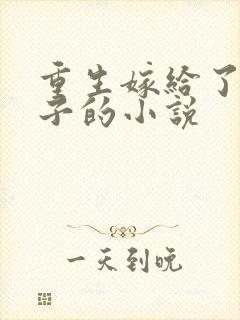 重生嫁给了小叔子的小说