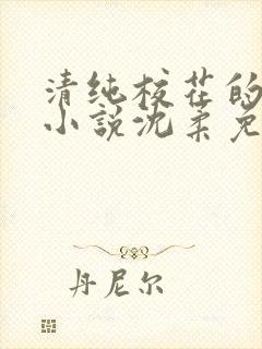 清纯校花的日常小说沈柔免费阅读