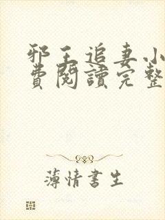 邪王追妻小说免费阅读完整版封面