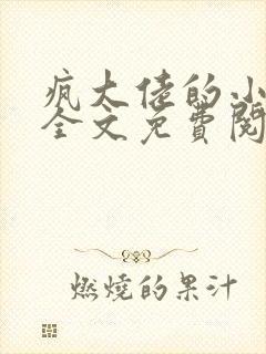 疯大佬的小玩物全文免费阅读小说
