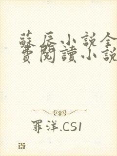 苏辰小说全文免费阅读小说无弹窗下载