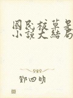 国民校草是女生小说大结局封面