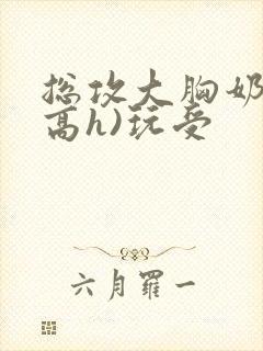 总攻大胸奶汁(高h)玩受