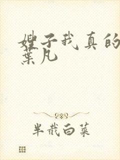 嫂子我真的不傻叶凡封面