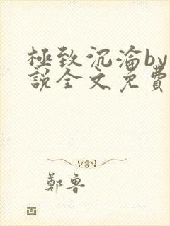 极致沉沦by小说全文免费阅读