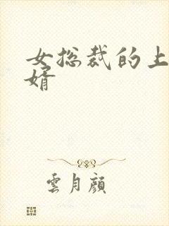 女总裁的上门女婿封面