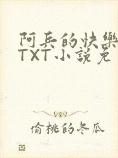 阿兵的快乐生活TXT小说免费阅读全章