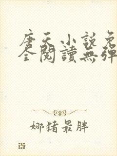 唐天小说免费大全阅读无弹窗