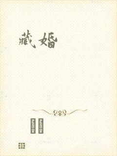 藏婚封面