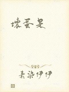 坏蛋是