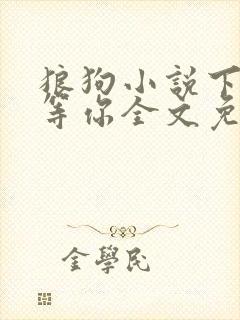 狼狗小说下次我等你全文免费阅读封面