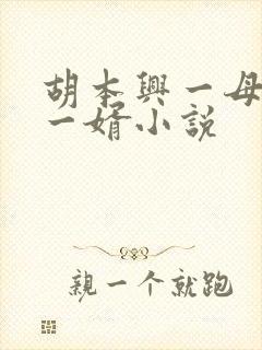 胡本兴一母四女一婿小说