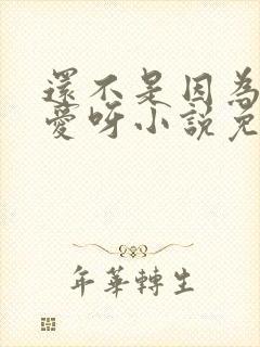 还不是因为你可爱呀小说免费阅读