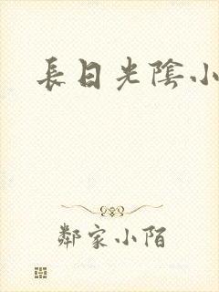 长日光阴小说