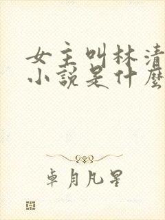 女主叫林清雪的小说是什么