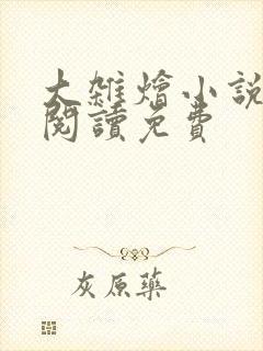 大杂烩小说全集阅读免费封面