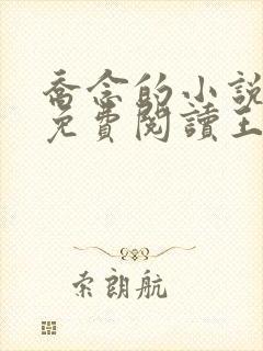 乔念的小说全文免费阅读王
