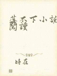 落不下小说免费阅读