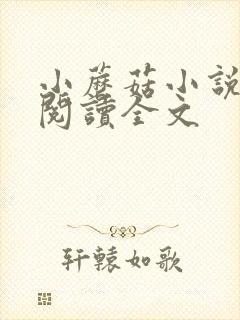 小蘑菇小说免费阅读全文