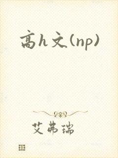 高h文(np)