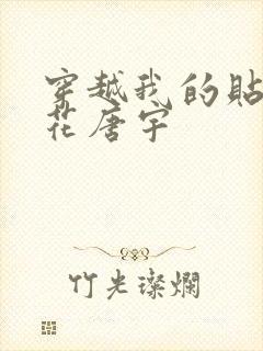 穿越我的贴身校花唐宇