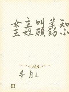 女主叫叶知秋男主姓顾的小说