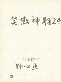 笑傲神雕24