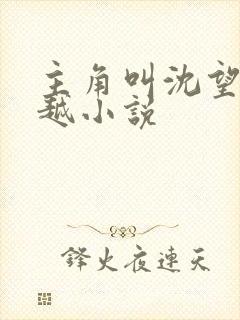 主角叫沈望的穿越小说封面