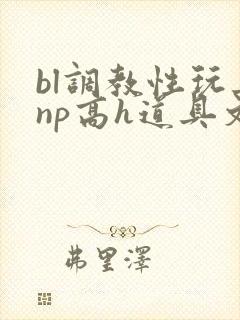 bl调教性玩具np高h道具文