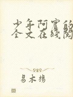 少年阿宾的故事全文在线阅读免费