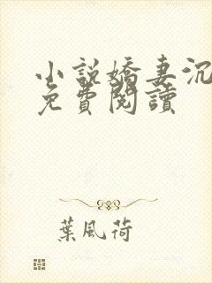 小说娇妻沉沦记免费阅读