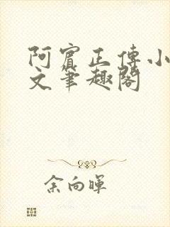 阿宾正传小说全文笔趣阁