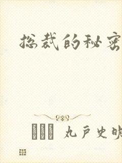 总裁的秘密情人