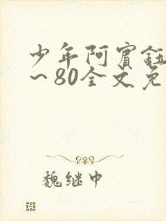 少年阿宾钰慧1～80全文免费