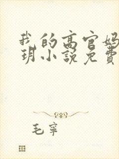 我的高官妈妈苏玥小说免费阅读最新