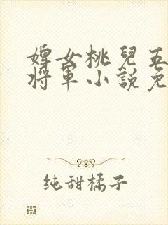 婢女桃儿五王爷将军小说免费阅读封面
