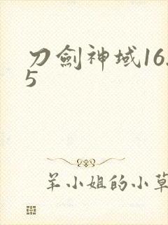 刀剑神域16.5