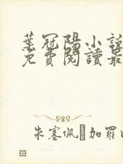 叶冠阳小说全文免费阅读最新章节