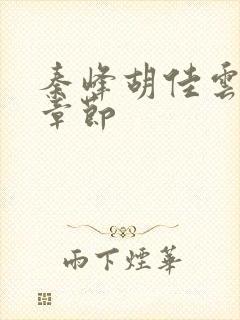 秦峰胡佳云最新章节封面