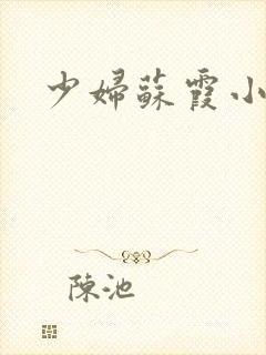 少妇苏霞小说