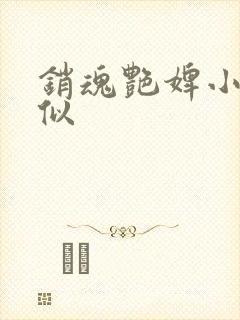 销魂艳婢小说类似