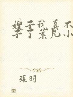 嫂子我真不是傻子了叶凡小说精校