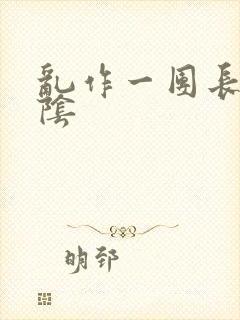 乱作一团长日光阴封面