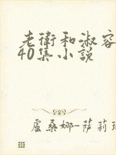 老卫和淑容1-40集小说封面