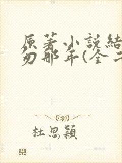 原著小说结局匆匆那年(全二册)