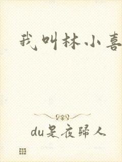 我叫林小喜17