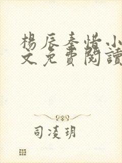 杨辰秦惜小说全文免费阅读最新章节封面