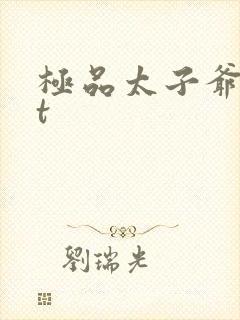 极品太子爷txt封面
