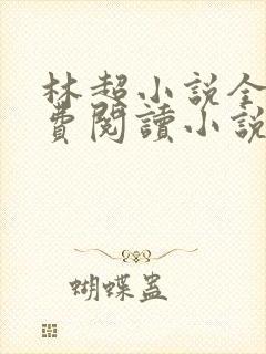 林超小说全文免费阅读小说